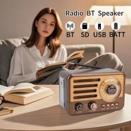 [Retro Portable Radio] Retro Portable Radio with Speaker, Supports FM/AM/SW, TF Card, USB, AUX Playback and LED Flashlight (HR-29BTL)