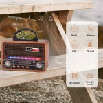 Vintage Wood Grain Retro Radio - Wireless, Stereo Sound, AM/FM/SW Bands, Portable Speaker with USB/TF Card Player, TWS Pairing, LED Lights, Rechargeable Battery for Home and Outdoor Use